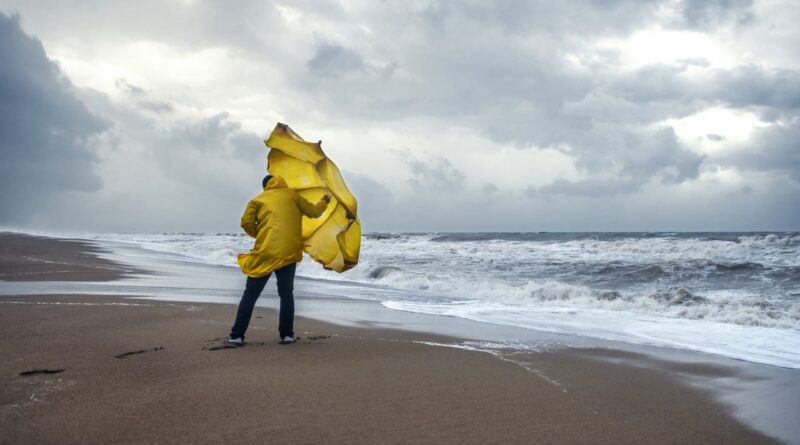 "Hurricane's Eye": Why did the US labor market spill, says economist